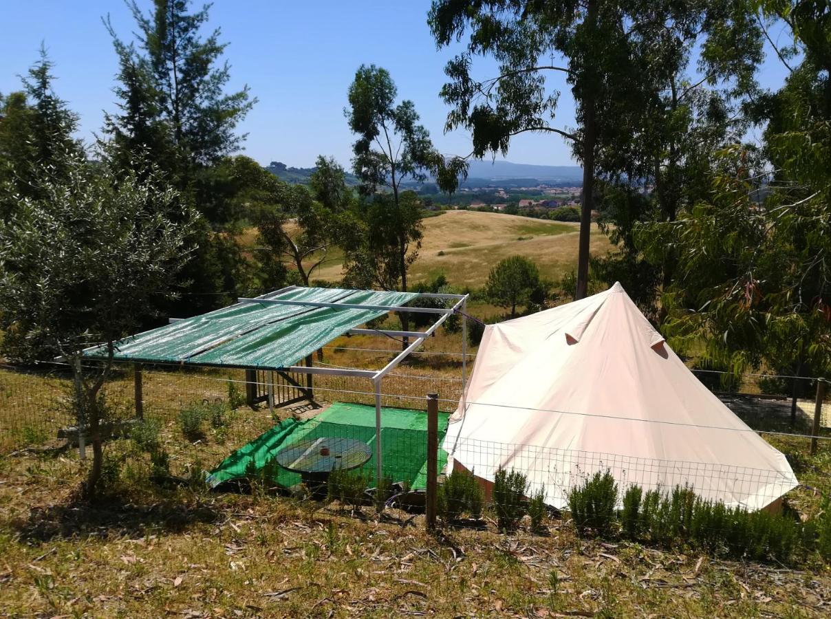 Herdade Da Hera 阿赞布雅 外观 照片
